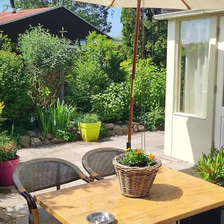 Вилла Zonnig Zuid Dirkshorn Экстерьер фото