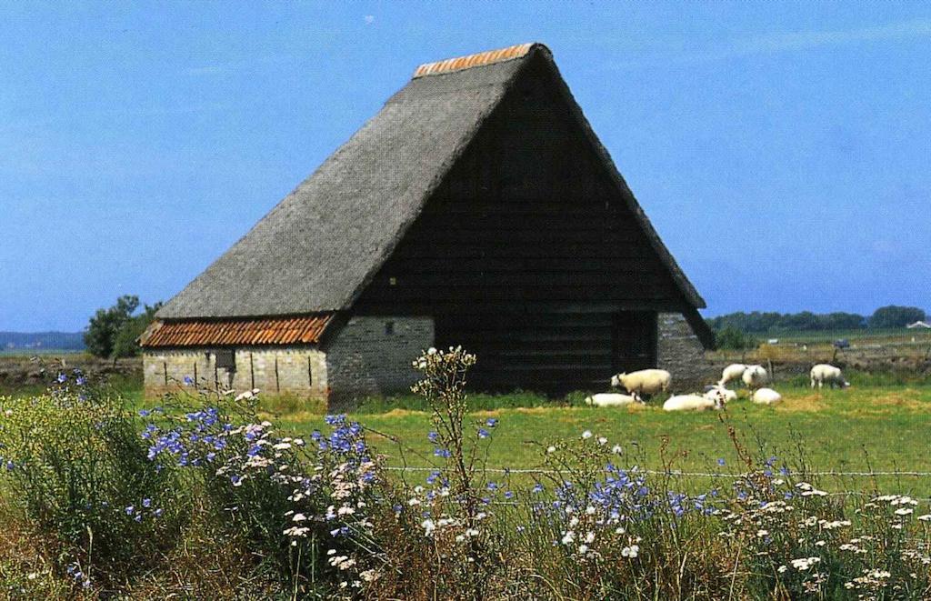 Вилла Zonnig Zuid Dirkshorn Номер фото