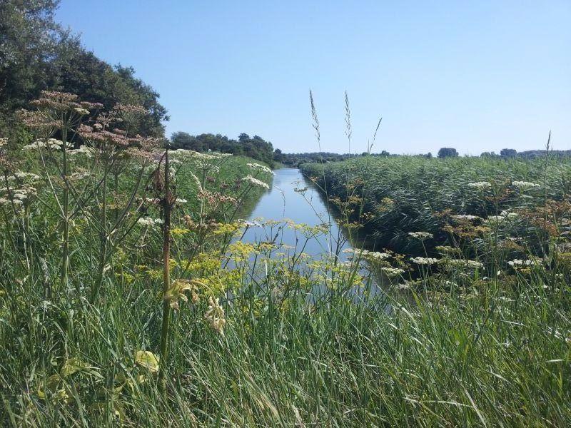 Вилла Zonnig Zuid Dirkshorn Номер фото